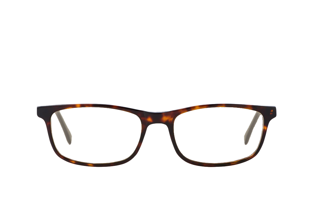 Tortoise Shell Computer Glasses Readers Front View