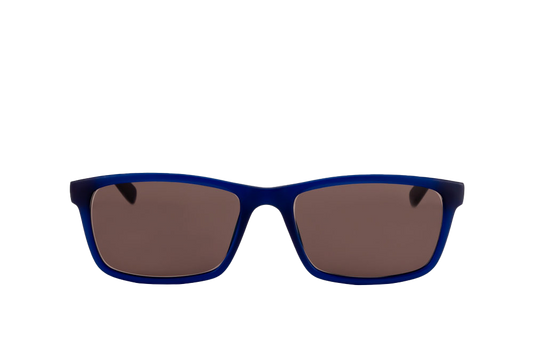 Hudson Sunglasses Readers (Brown) Front View